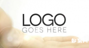 手上LOGO展示 手心标准 AE模板人手势托住logo演绎动画AE模板