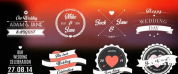 10组浪漫婚礼Logo演绎动画AE模板 文字展示 AE模板