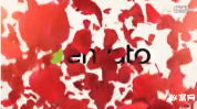 AE模板-浪漫的玫瑰花瓣标志展示婚礼相册MV片头模板