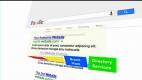 AE模板-谷歌搜索引擎商品广告宣传动画 Search Engine Advertisement
