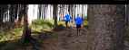 森林跑步运动实拍视频素材
