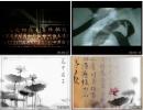 水墨映像 中国文化展示 中国风荷花 书法 扇子琴棋书画 视频