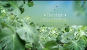 AE模板-绿色环保热带雨林植物穿梭文字标题开场片头