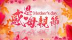 AE模板823感恩母亲节妇女节温馨幸福母亲节蝴蝶花朵花瓣视频