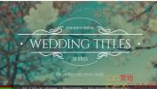 AE模板-10组婚礼文字标题动画 Wedding Titles