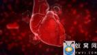 AE模板-生物科技感心脏跳动Logo动画 Heart Reveal