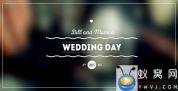 AE模板-11组婚礼文字标题动画 Wedding Titles Pack