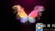 AE模板-粒子蝴蝶飞舞Logo动画 Glowing Butterfly Logo Reveal