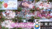 AE模板-玫瑰花瓣照片相册视频婚礼包装片头 Wedding Slideshow