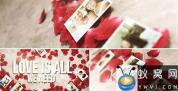 AE模板-玫瑰花瓣婚礼照片相册片头 Rose Petals Heart – Photo Gallery