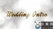 AE模板-高贵奢华婚礼视频包装片头 Wedding Intro
