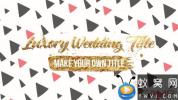 AE模板-奢华婚礼文字标题动画 Luxory Wedding Title Kit