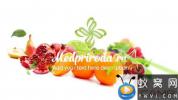 AE模板-水果蔬菜食物开场 Healthy Food Opener