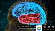 AE模板-科技感头脑内部HUD展示动画 Brain Structure
