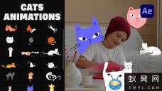 AE模板-卡通猫贴纸动画元素 Cartoon Cats Animations